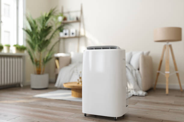 Best Air Quality Test  in Country Squire Lakes, IN